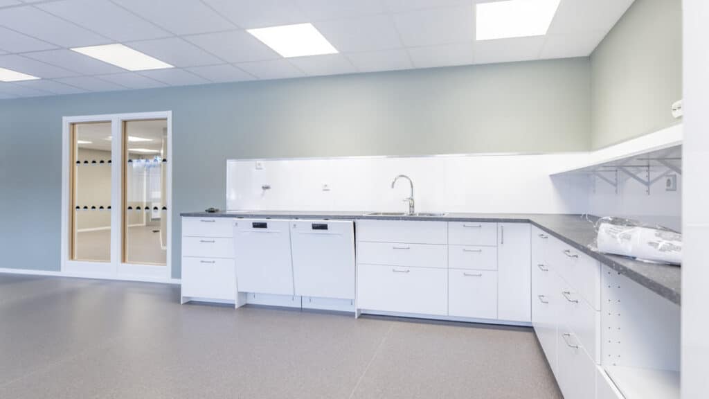 Ett kök med diskho, skåp och ett fönster.